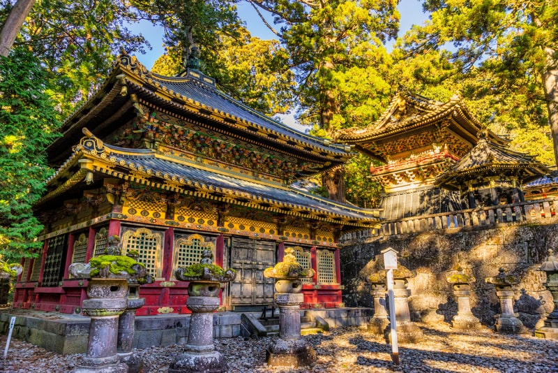 Exploring the Toshogu Shrine is a great cultural experience for Budget travel to Japan for students without breaking the bank.