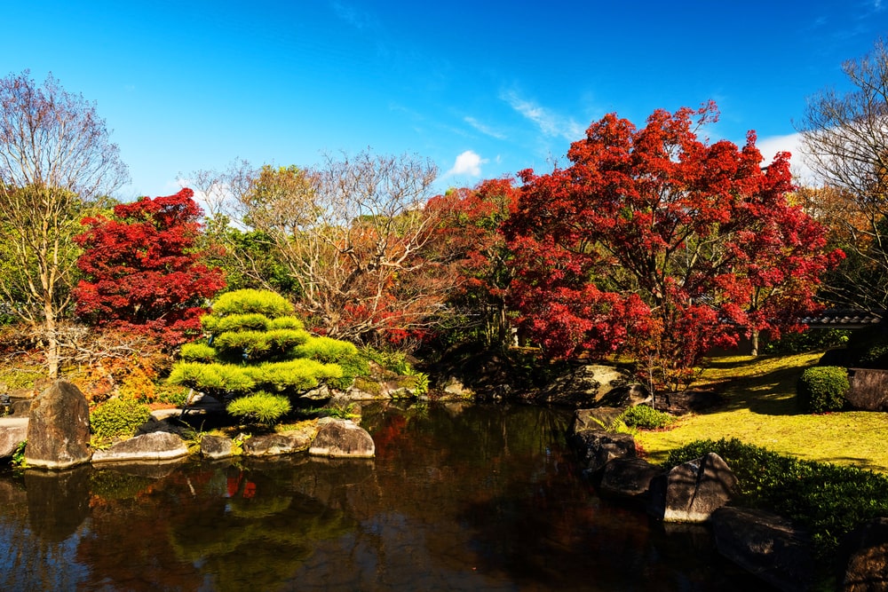 The lush greenery and koi-filled ponds of Koko-en Garden make it a perfect stop on our Japan Language study tours for teenagers.